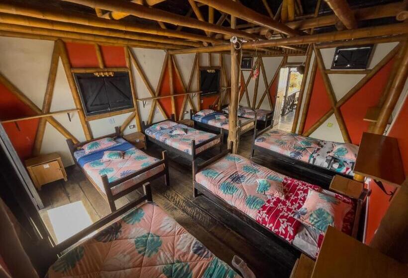 تختخواب در اتاق مشترک, Hostal Bambu