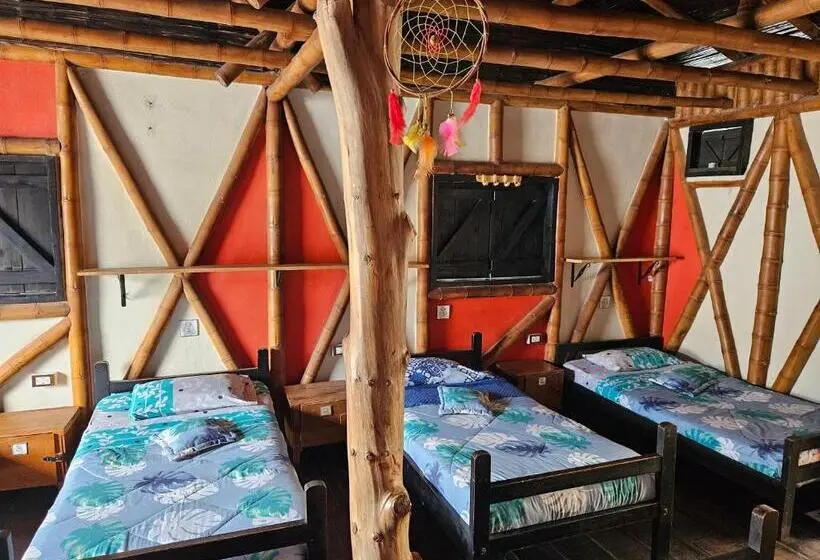 ルームシェアのワンベッド, Hostal Bambu