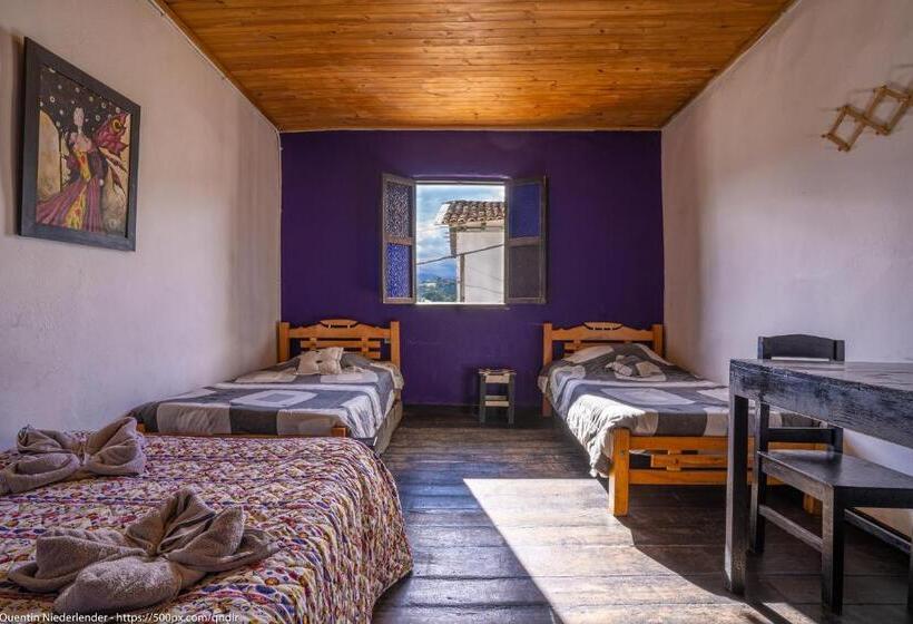 اتاق استاندارد چهارنفره با سرویس بهداشتی مشترک, Hostal Bambu