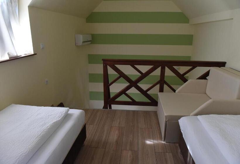 家庭工作室, Aquarium Panzió