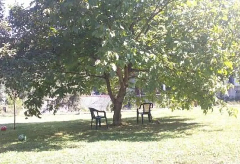 اتاق استاندارد سه نفره, Apartments & Rooms Bojic