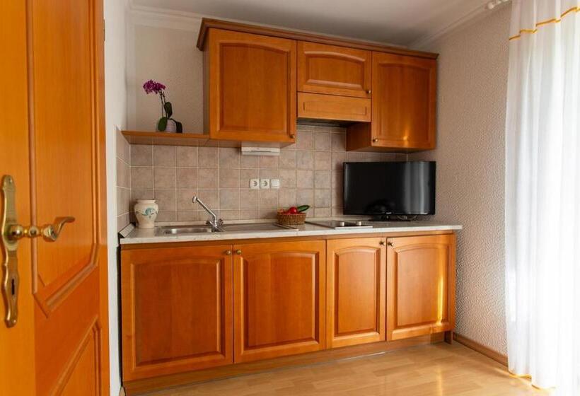آپارتمان 1 خوابه با بالکن, Gostišče Pri Dveh Petelinih