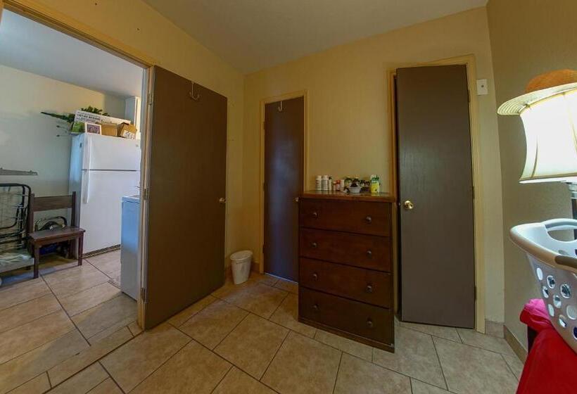 이코노미 싱글 룸, Star Inn