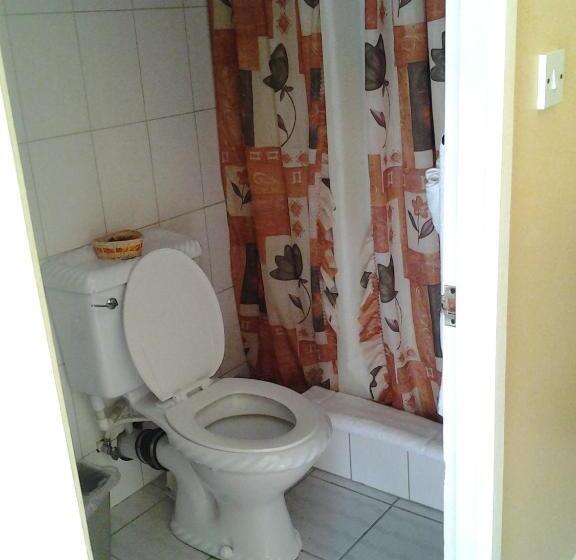 اتاق اکونومی, Aupic Paradise