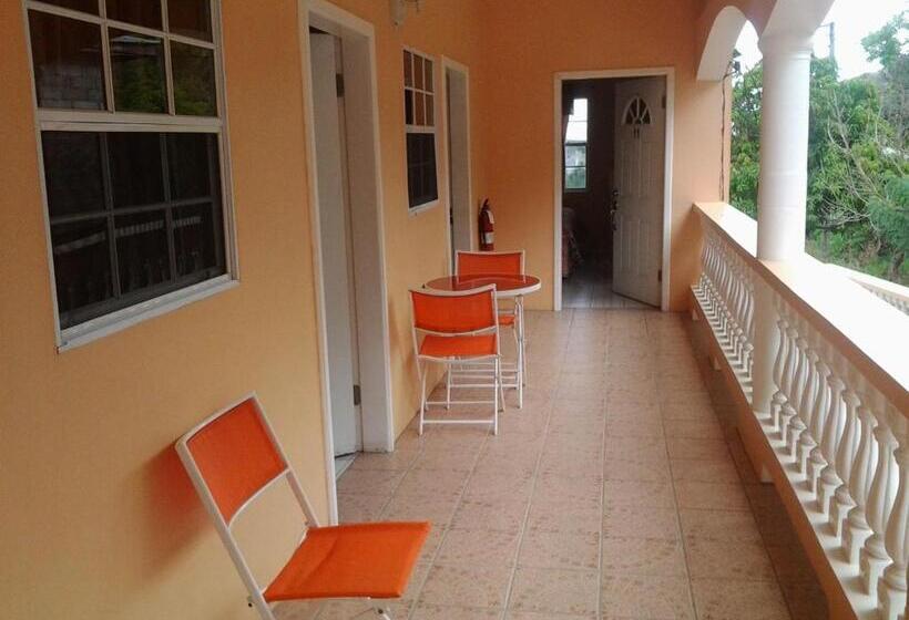 اتاق اکونومی, Aupic Paradise