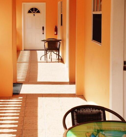 اتاق اکونومی, Aupic Paradise