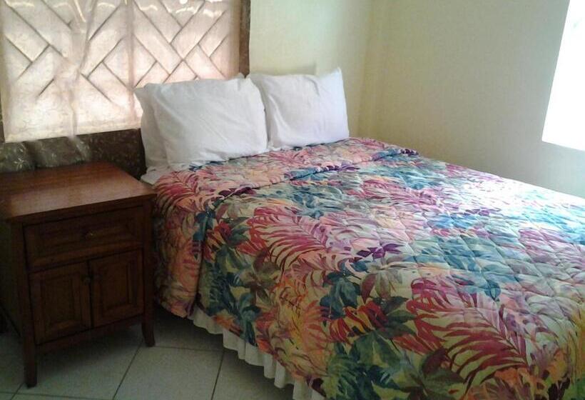 آپارتمان 1 خوابه با چشمانداز دریا, Aupic Paradise