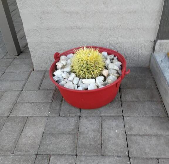 豪华房间, Kalahari Rus