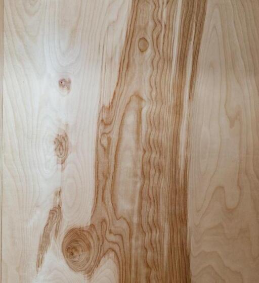 标准间, The Flying Steamshovel Inn