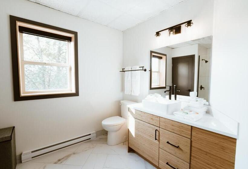 带大床的豪华间, The Flying Steamshovel Inn