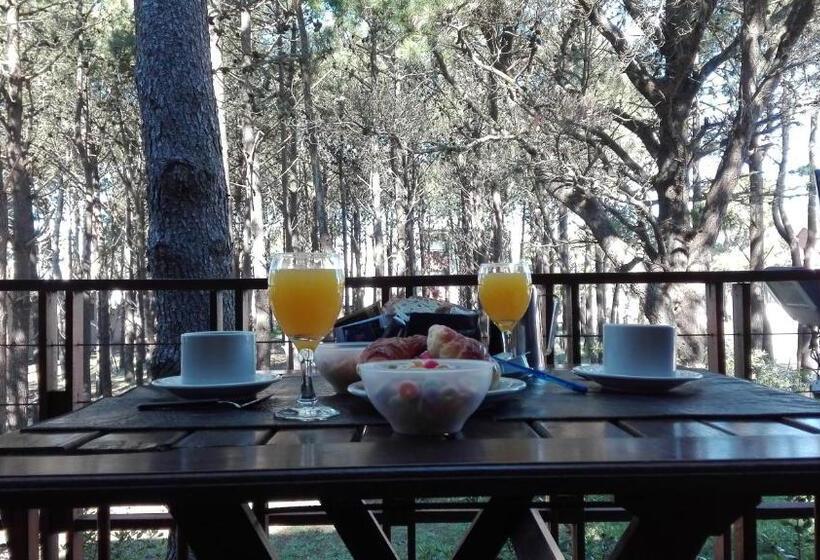 Апартаменты 2 Спальни, La Pedrera