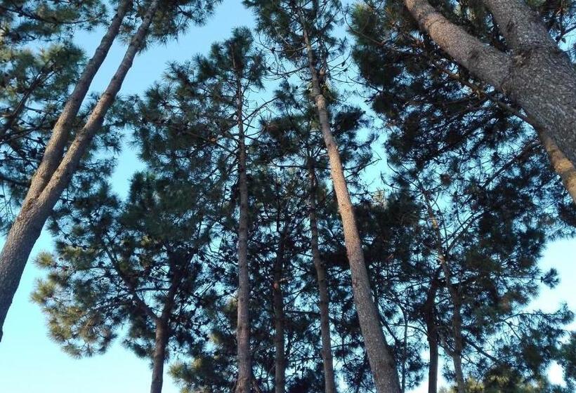 Апартаменты 1 Спальня, La Pedrera