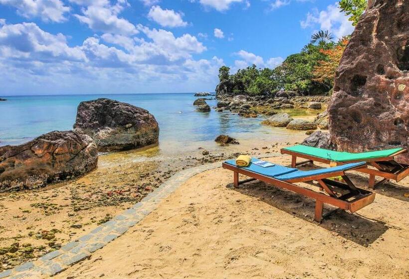 آپارتمان 1 خوابه با چشمانداز دریا, Natiora Green Lodge