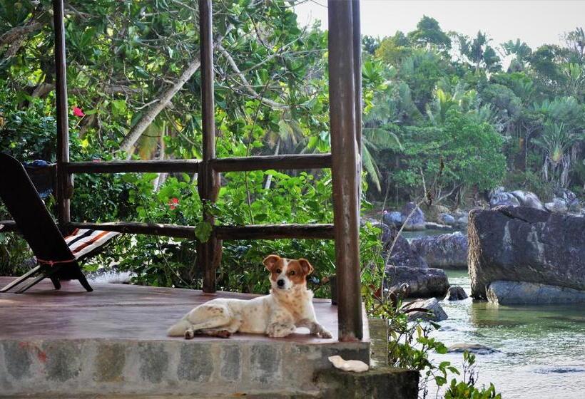 آپارتمان 1 خوابه با چشمانداز دریا, Natiora Green Lodge