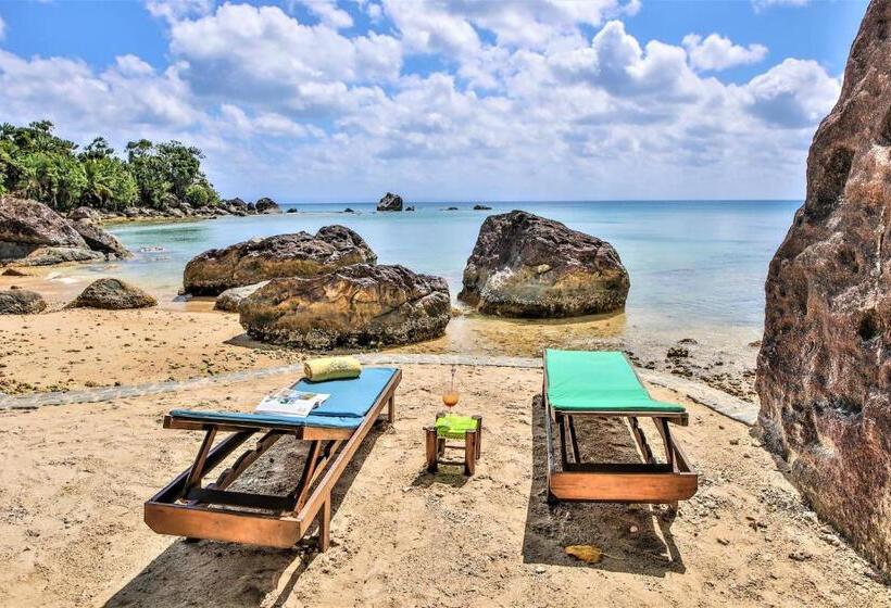 آپارتمان 1 خوابه با چشمانداز دریا, Natiora Green Lodge