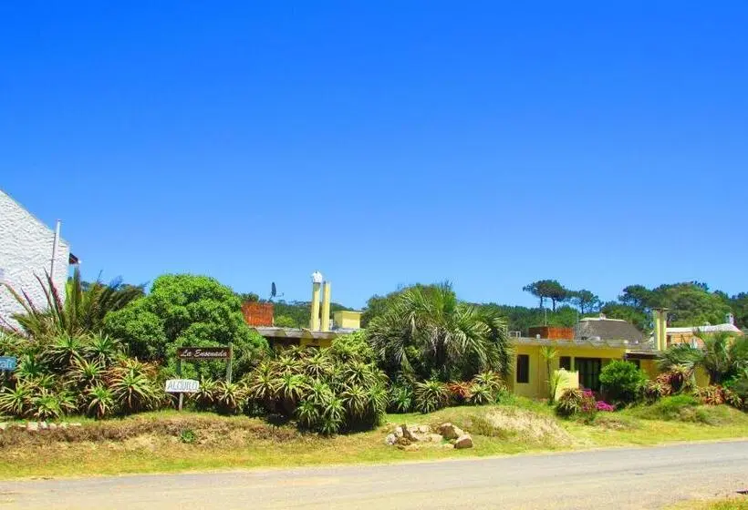 آپارتمان 1 خوابه همکف, La Nueva Ensenada