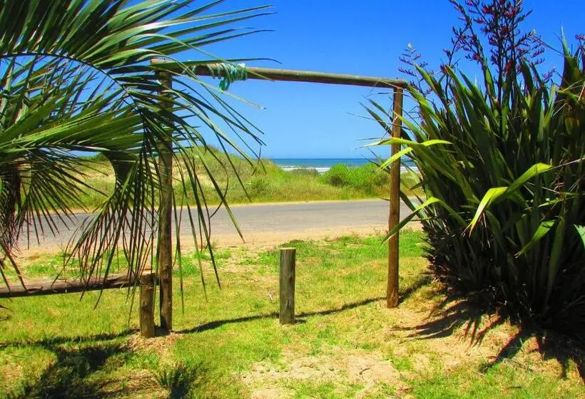 آپارتمان 1 خوابه, La Nueva Ensenada