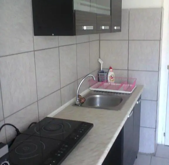 آپارتمان 1 خوابه, Alpesi Apartman Downtown