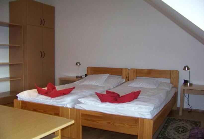 Апартаменты 1 Спальня, Alpesi Apartman Downtown