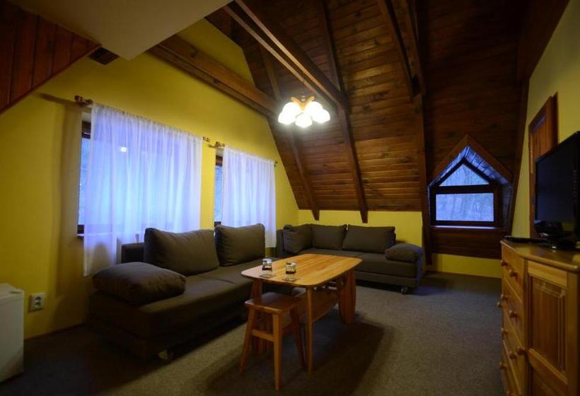 דירת חדר, Salas Partizanske