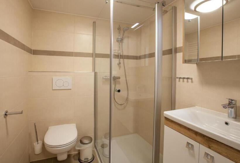 آپارتمان 1 خوابه, Alpine Appart