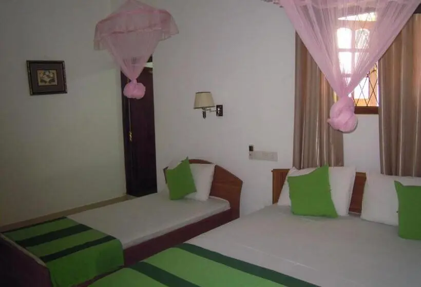 اتاق لوکس سه تخته, Devi Tourist Home