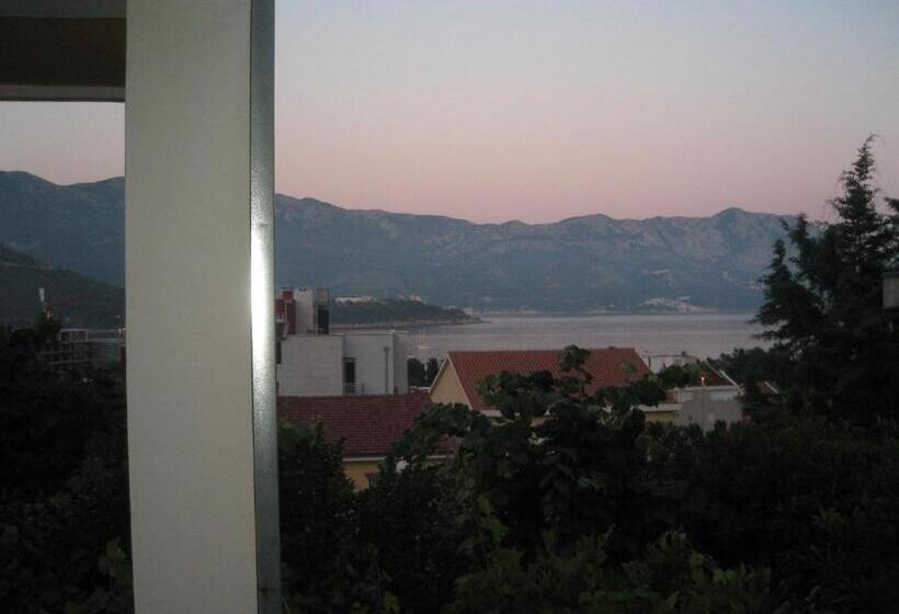 آپارتمان 1 خوابه با بالکن و چشمانداز دریا, Guest House Plima 2