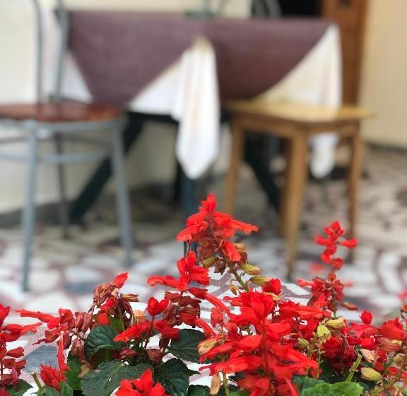 آپارتمان 1 خوابه با چشمانداز دریا, Guest House Plima 2