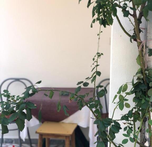 آپارتمان 1 خوابه با چشمانداز دریا, Guest House Plima 2