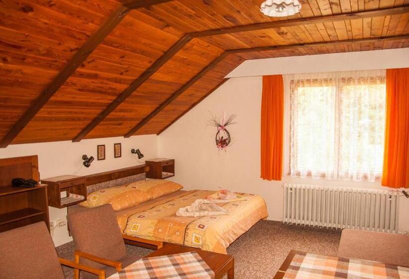 Habitació Estàndard, Privát   Harrachov 392