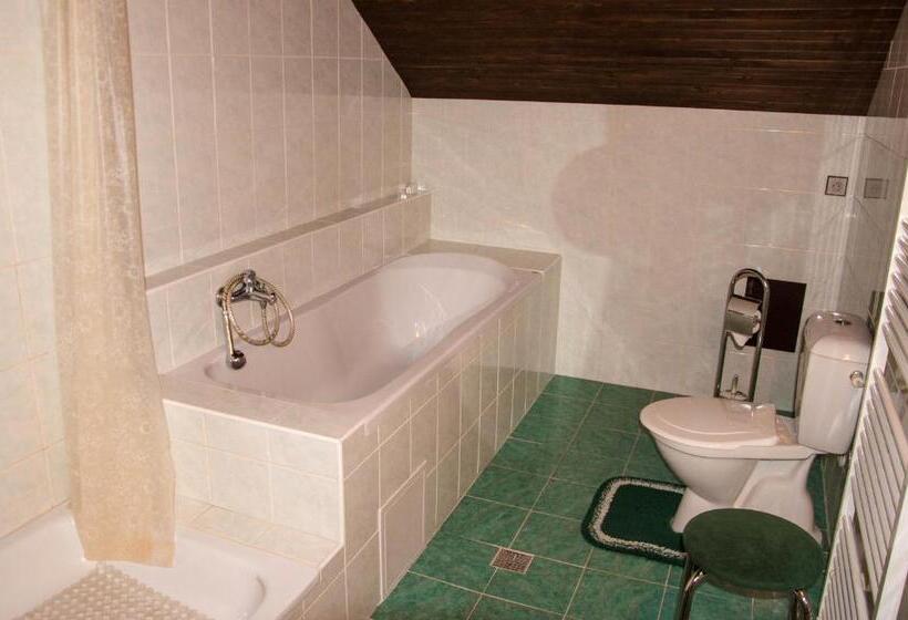 Номер Стандарт с Балконом, Privát   Harrachov 392