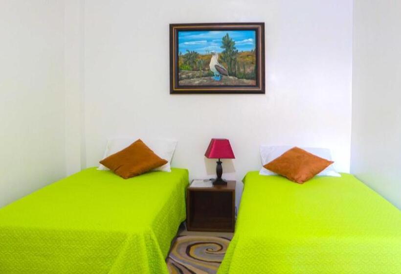 חדר סטנדרט, Starfish