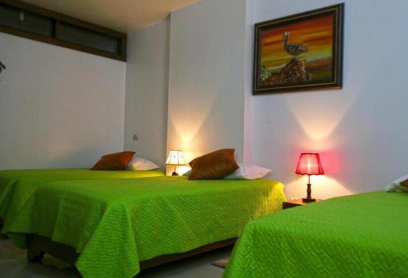 חדר סופריור לשלושה, Starfish