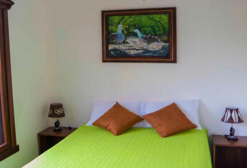 חדר דלוקס, Starfish