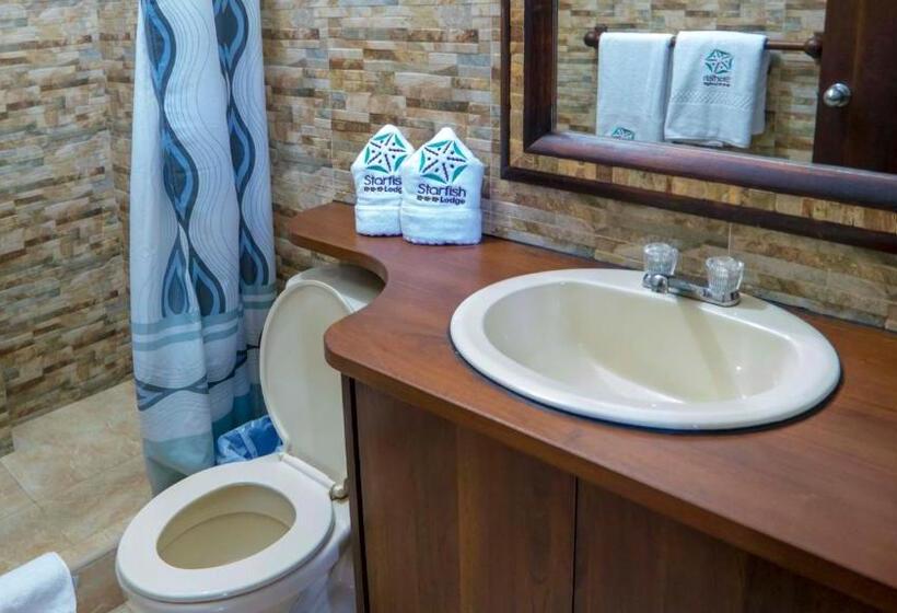 デラックスルーム, Starfish