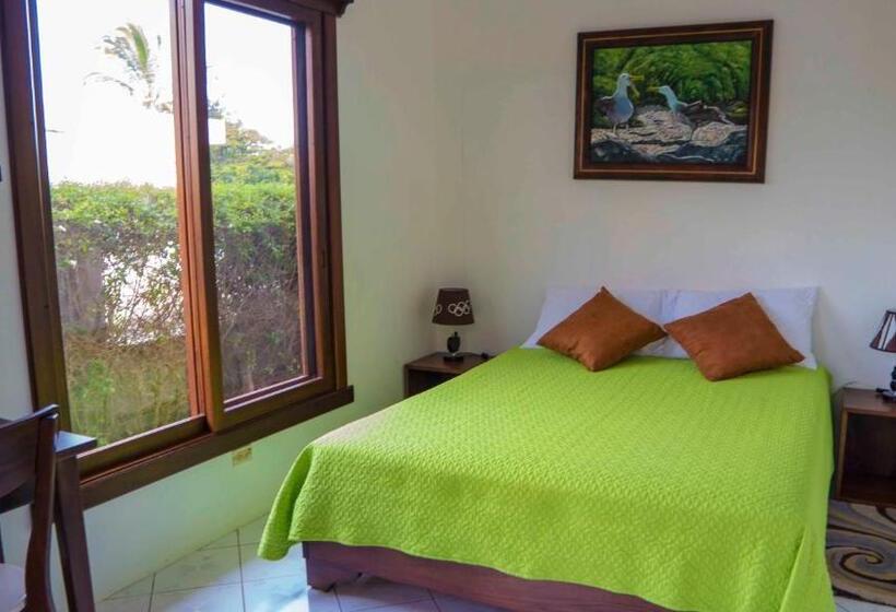 デラックスルーム, Starfish