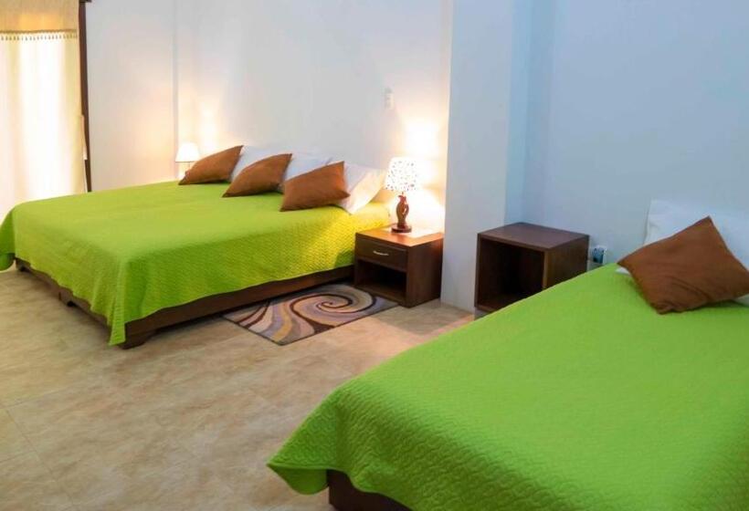 スタンダード4人部屋, Starfish