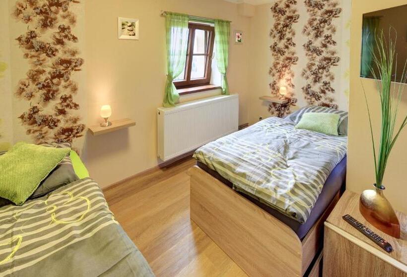 غرفة قياسية, Pension H.blatná