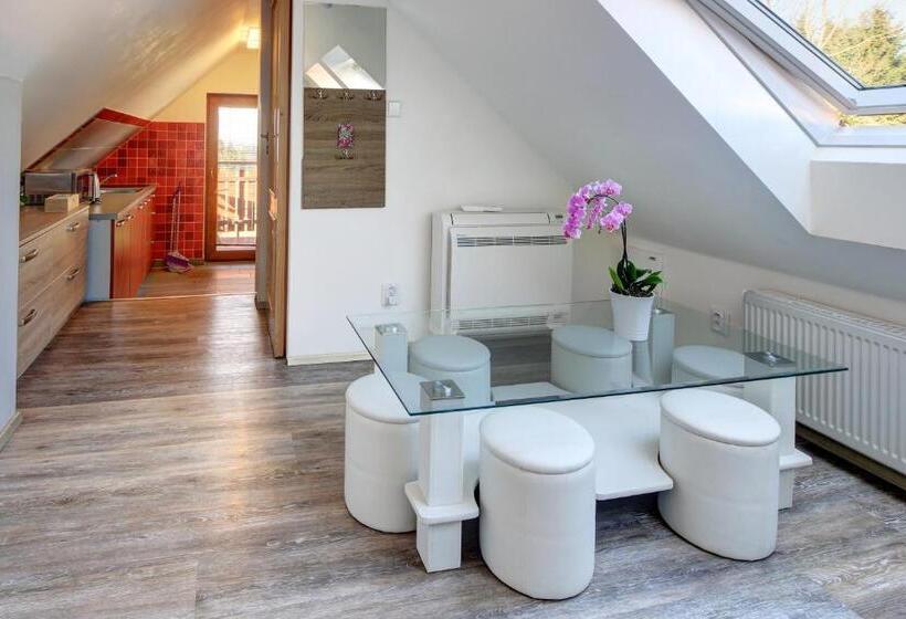 غرفة عائلية, Pension H.blatná