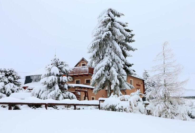 منزل غرفة نوم واحدة, Pension H.blatná