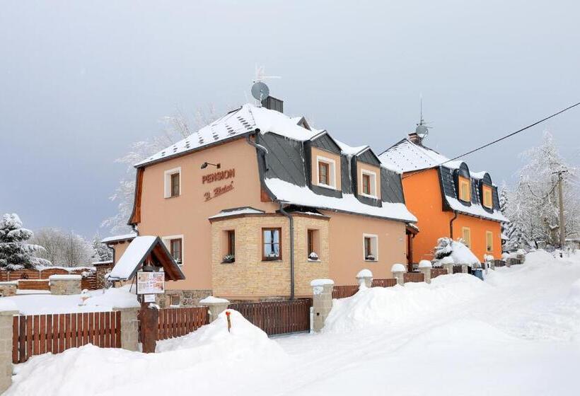 منزل غرفة نوم واحدة, Pension H.blatná