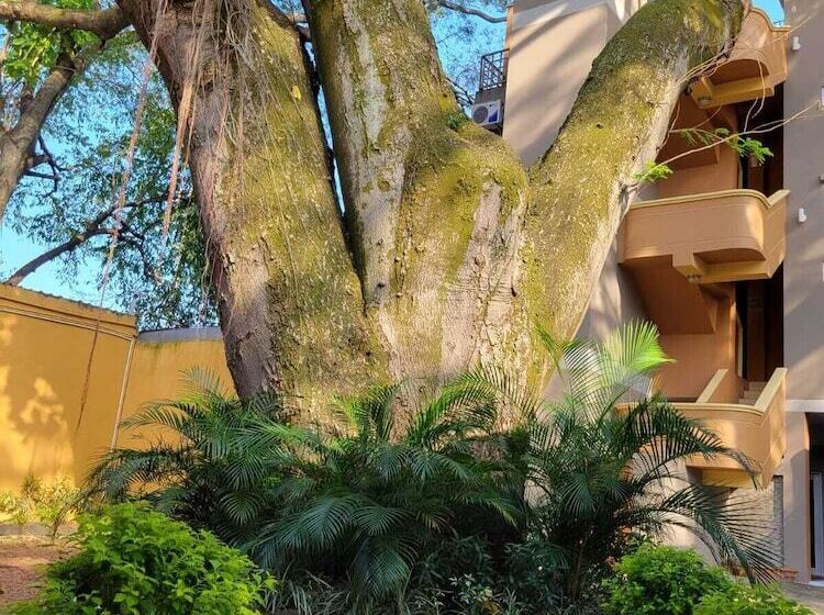 اتاق سوپریور, Real Guanacaste