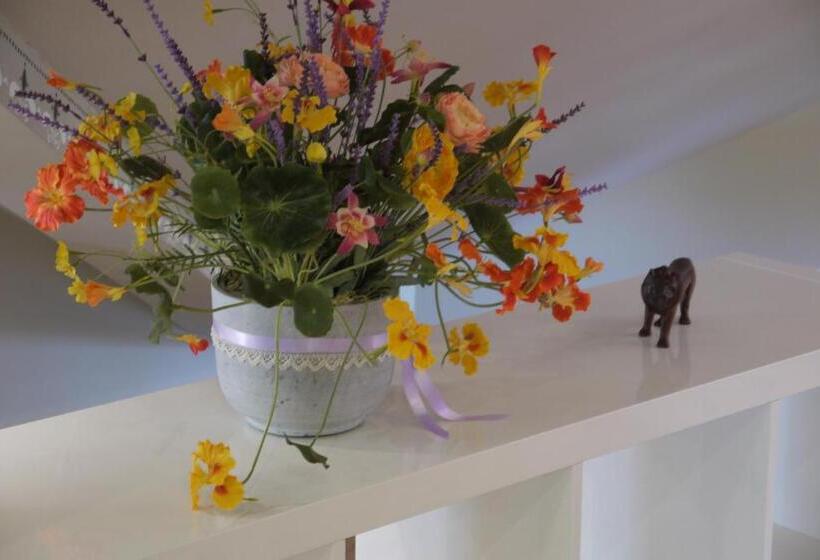 1 Bedroom Penthouse Apartment, Apartments Livia