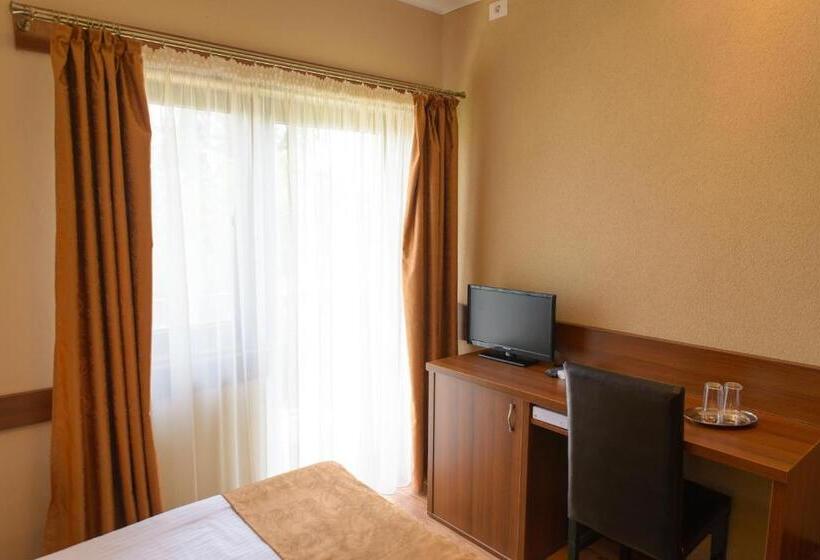 标准单人间, Pensiunea Lunca