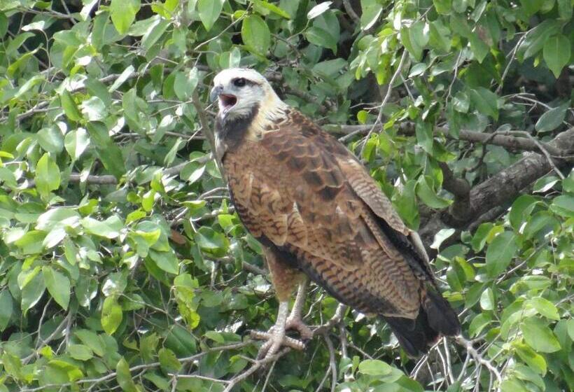 舒适三人间, Eco Pousada Sinimbu