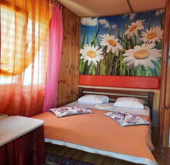 اتاق اکونومی, Kitech Guest House