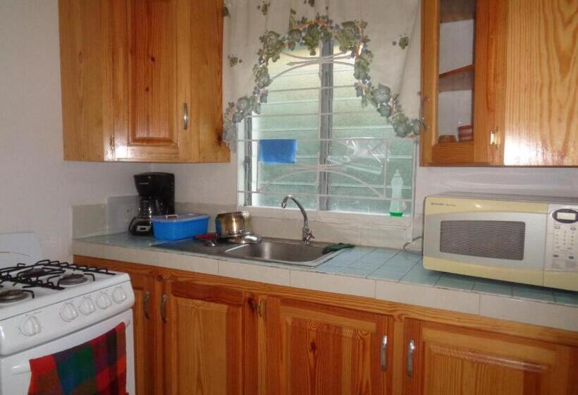 آپارتمان 1 خوابه, Yard Style