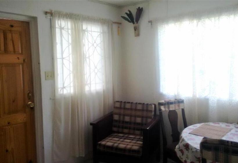 آپارتمان 1 خوابه, Yard Style