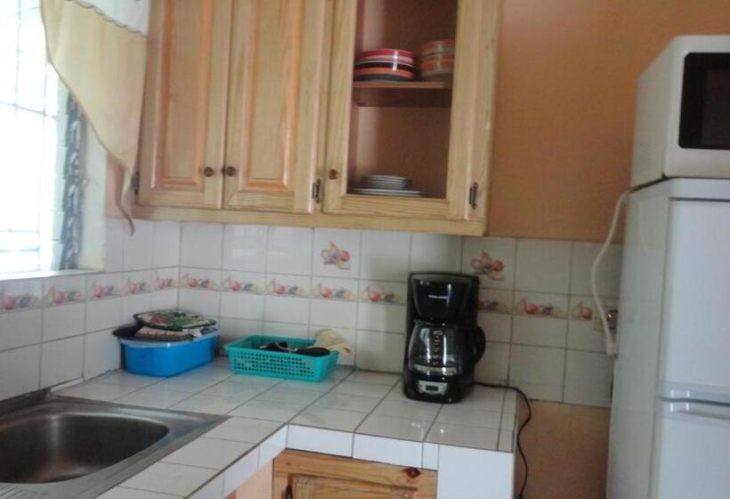 آپارتمان 1 خوابه همکف, Yard Style