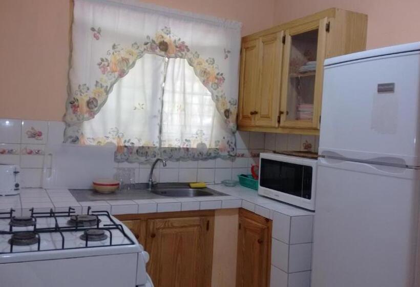 آپارتمان 1 خوابه همکف, Yard Style